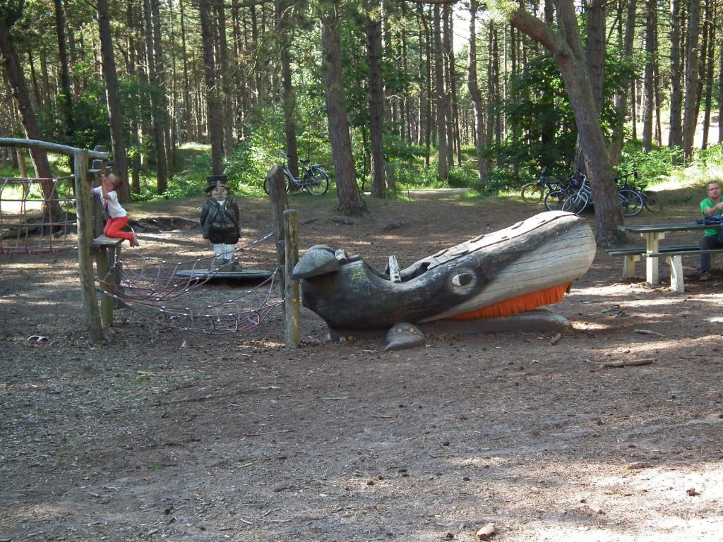 Hollumerduinen Холлум Экстерьер фото