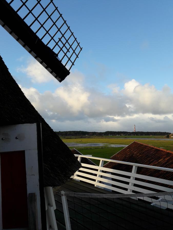 Hollumerduinen Холлум Экстерьер фото